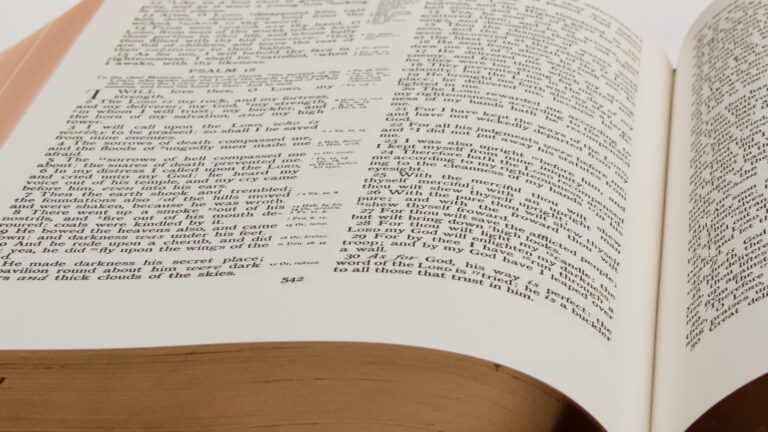 Today's Mass Readings
